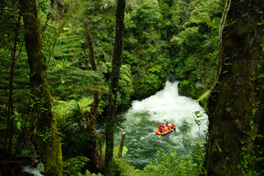 A raft in the pool below the world's highest(7 meters) commercially rafted waterfall Tutea falls.  Kaituna River, New Zealand